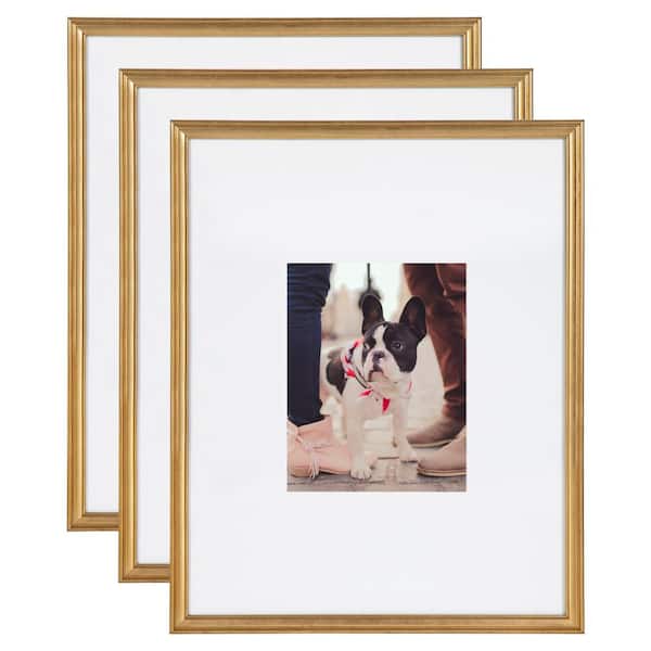 Kate and Laurel Adlynn 16 in. x 20 in. matted to 8 in. x10 in. Gold Picture Frames (Set of 3) 216959
