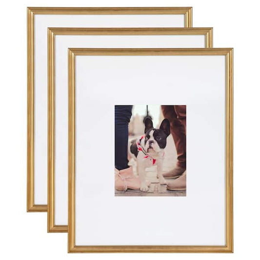 Kate and Laurel Adlynn 16 in. x 20 in. matted to 8 in. x10 in. Gold Picture Frames (Set of 3) 216959