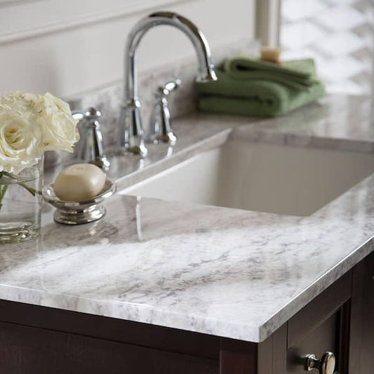 Home Decorators Collection 49 in. W x 22 in. D Ceramic White Rectangular Single Sink Vanity Top in Winter Mist SERST49-WM