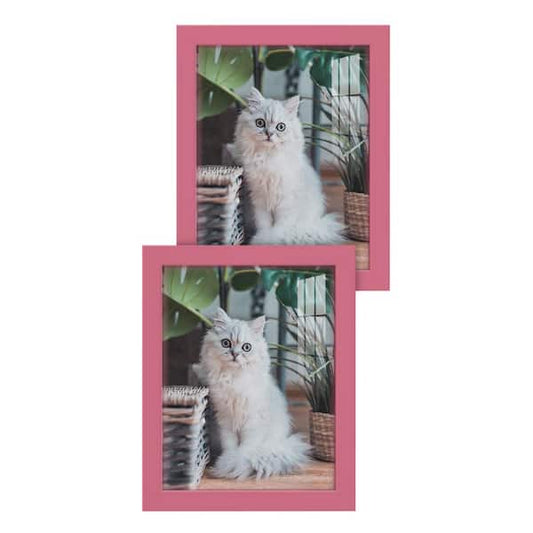 Wexford Home Modern 8 in. x 10 in. Hot Pink Picture Frame (Set of 2) WF013F-2