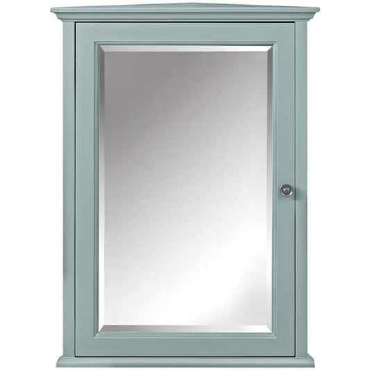Home Decorators Collection Hamilton 20 in. W x 27 in. H Rectangular Medicine Cabinet with Mirror 0567700310