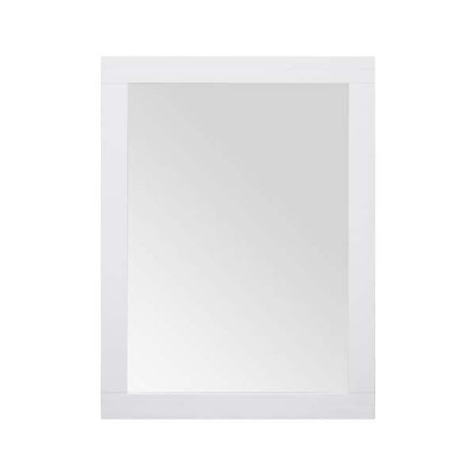 Home Decorators Collection Sturgess 24 in. W x 32 in. H Rectangular Medicine Cabinet with Mirror 19111-MC24-WT
